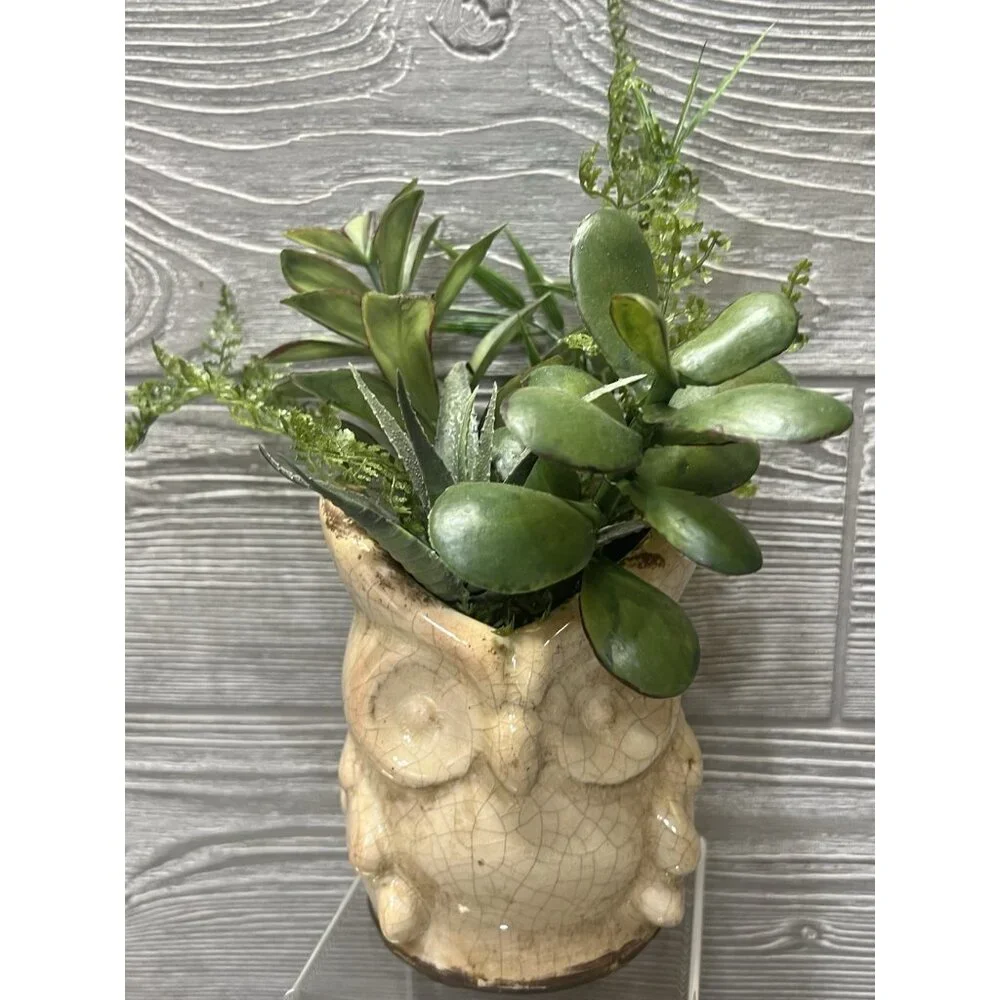 Rustic Crackled Owl Planter with Faux Succulents 9” Primitive Look Decor